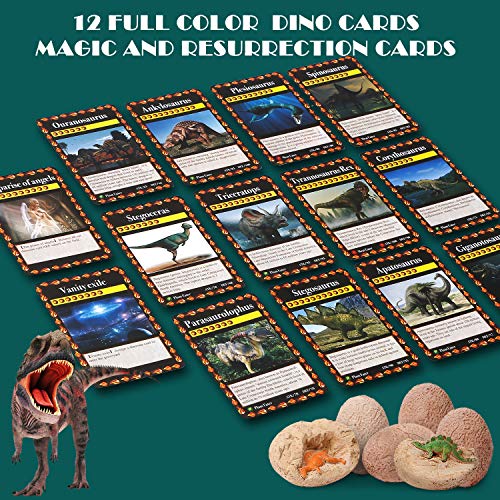 Dinosaur Eggs-Dig a Dozen Dino Egg Kit for Kids - Dinosaur Toys Gift for Boys 3-12 Year Old -12 Dino Eggs Dig Excavation Kit- Stocking Stuffers STEM Activities-Party Gifts for Boys & Girls