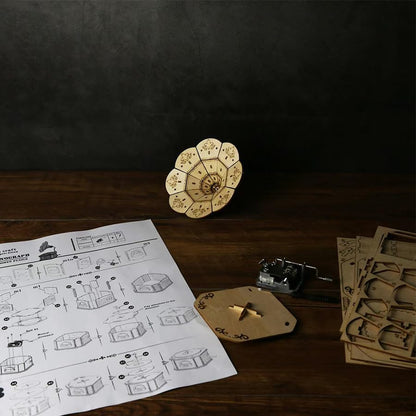 Music Park 3D Wooden Puzzle, Phonograph Music Box - color: Phonograph