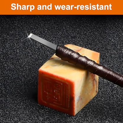 BAIQI Tungsten Steel 8 Pcs Hand Carve Tool Kit for Enthusiast to Engrave Soft Limestone and SlateStone Alabaster Wood Soap Stone Seal Sculpture DIY Craft (10 PCS Carve Tool Set)