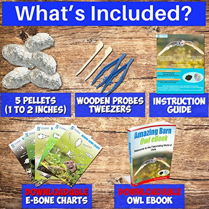 Amazing Owl Pellet Dissection Kit – 5-Piece Pellet Set for Science Lab Projects – w/Tweezers and Wooden Probes – Ideal for Science Projects – Barn Owl eBook Included - Intended for Ages 15 & Older
