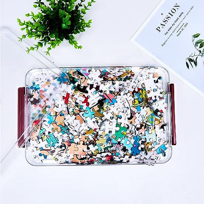 CATOOMUU 3-Pack 9x13 Shallow Flat Clear Plastic Project Case Storage Box - color: Small-Red