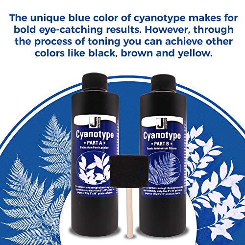 Jacquard Cyanotype Kit Sun Printing for Paper & Fabric Bundled Sponge Brush