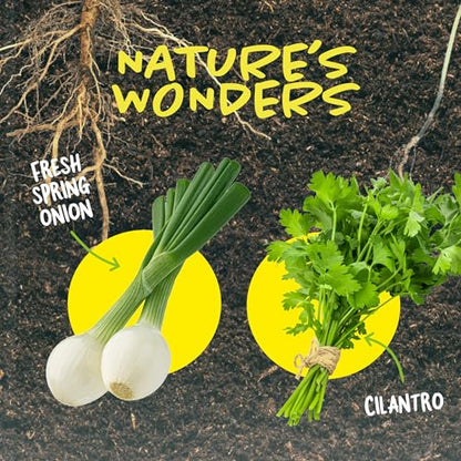 Root Viewer Kit for Kids - Grow Your Own Plant for Boys & Girls Gifts