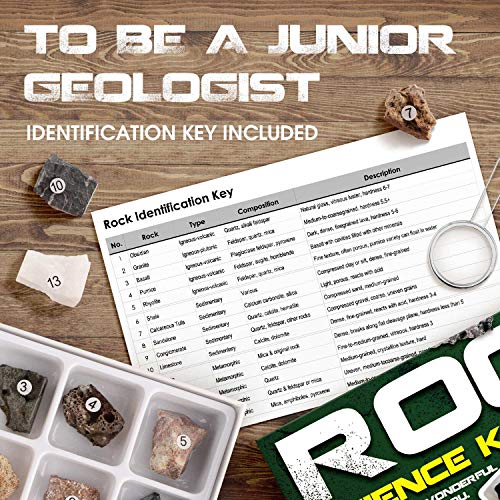 Piano Potato Rock and Mineral Kit 15 PCS with Box, STEM Geology for Kids - style: Rock Kit