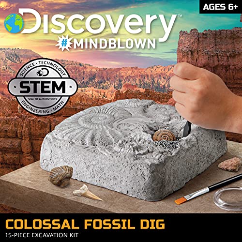 Discovery Colossal Fossil Dig Set, 15-Piece Archeology Excavation Kit, Uncover Real Shark Teeth and More, STEM Toys for Boys and Girls
