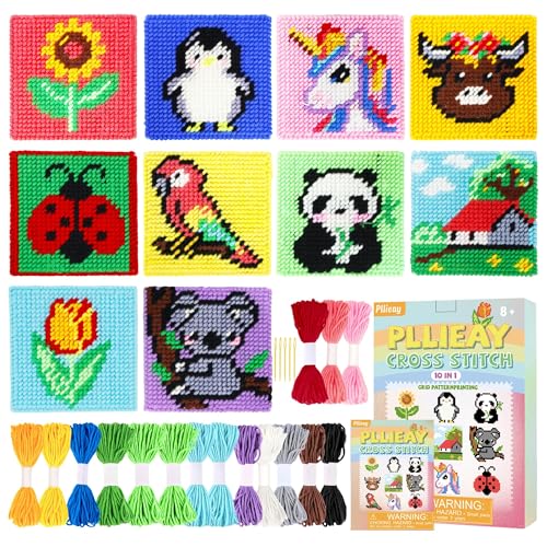 Pllieay 10-in-1 Plastic Canvas Kit for Beginners, Easy Needlepoint Kit
