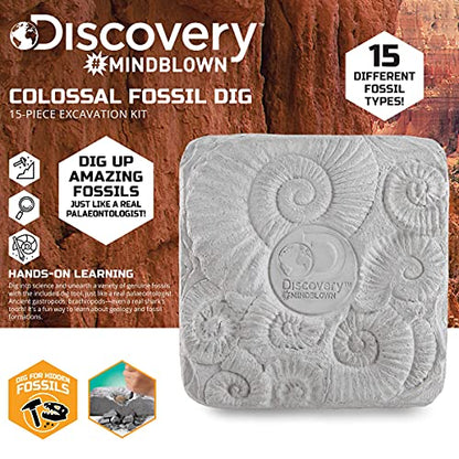 Discovery Colossal Fossil Dig Set, 15-Piece Archeology Excavation Kit, Uncover Real Shark Teeth and More, STEM Toys for Boys and Girls
