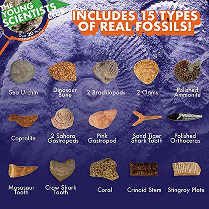 The Young Scientists Club Exploring Fossils, at-Home STEM Kits for Kids Age 8 and Up, Fossil Kits for Young Scientists, Dinosaur Experiments, Kids Dinosaur Parties