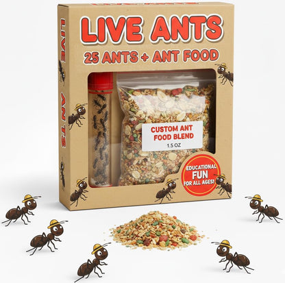 25 Live Ants for Ant Farms (1 Tube) with Ant Food Premium Custom Mix - style: 25 Live Ants+Food