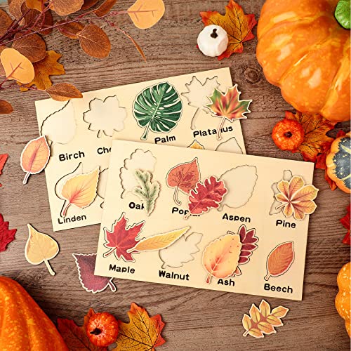 Kathfly 2 Pcs Montessori Leaf Wooden Puzzles Tree Shapes Toy, Cute - style: Cute