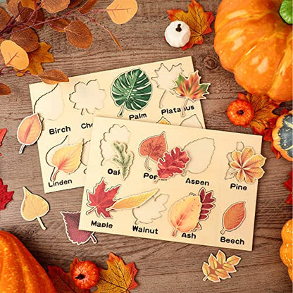 Kathfly 2 Pcs Montessori Leaf Wooden Puzzles Tree Shapes Toy, Cute - style: Cute