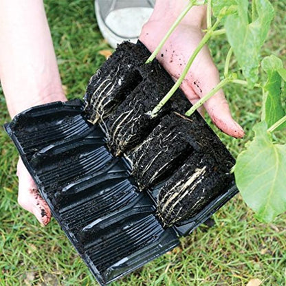 Deep Kit - Seed and Cutting Propagation (32 Cell, 5 inch)