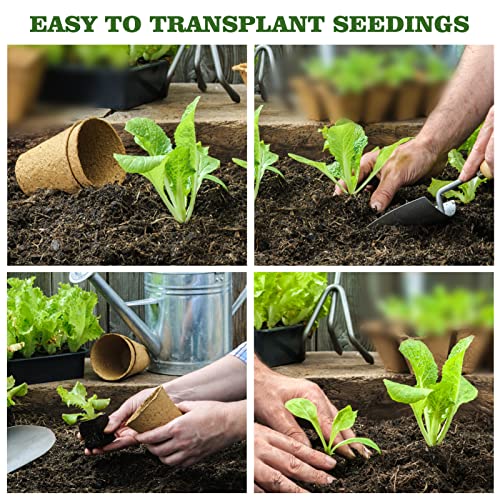 INCIKITI 40Pcs 3.15 Inch Peat Pots, Biodegradable Eco-Friendly Round Plant Seedling Starters Kit, Seed Germination Trays with 10 Labels for Flower Vegetable Tomato Saplings & Herb Germination, Khaki - size: 40 Pack