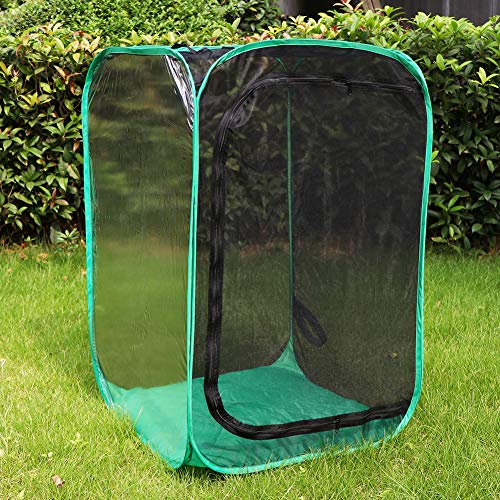RESTCLOUD 36" Large Monarch Butterfly Habitat, Giant Collapsible Insect Mesh Cage Terrarium Pop-up 24 x 24 x 36 Inches - color: Black with Green