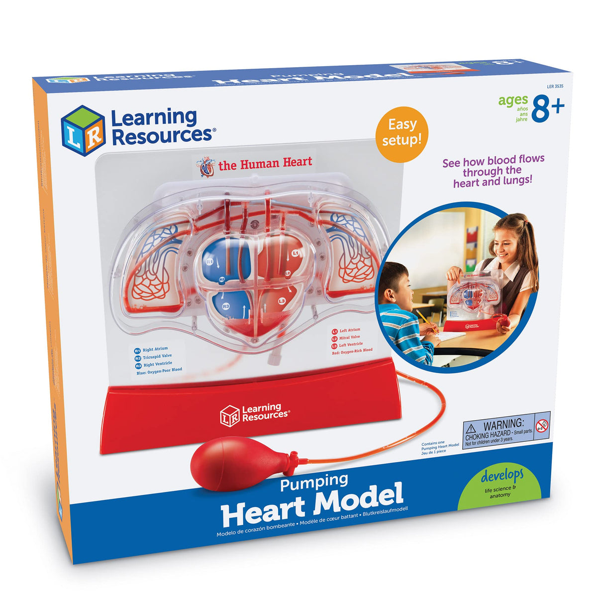 Learning Resources Pumping Heart Model